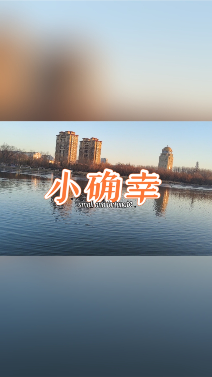 小水鸭在冬游