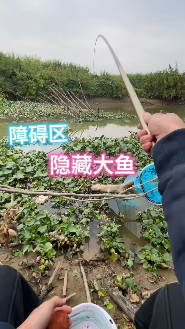 障碍区的地方果然有点东西#户外野钓   #钓鱼 #户外钓鱼