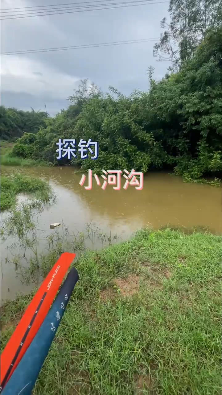 户外钩鱼记录生活真实户外