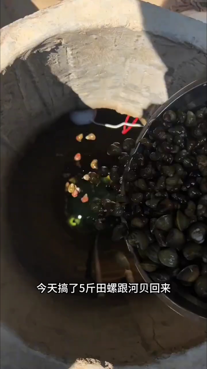 继续改造我的山泉水过滤系统! #快手创作者服中心 #农村人的