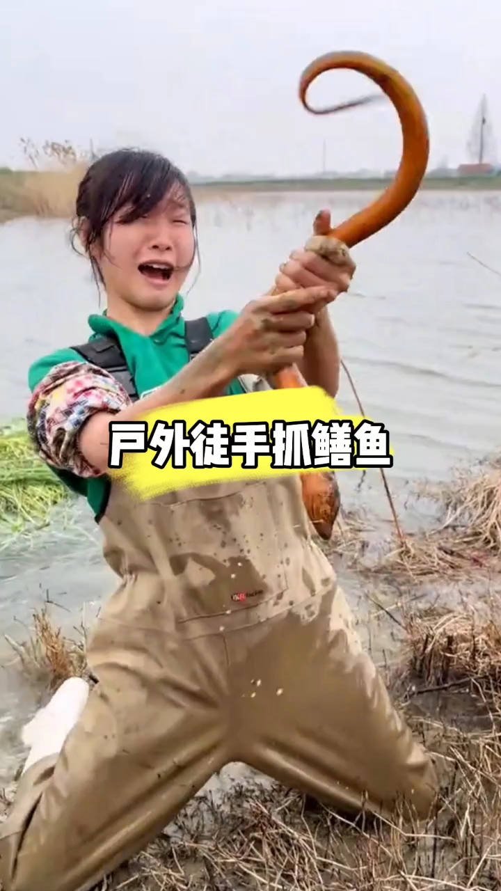 户外徒手抓鳝鱼回忆童年农村生活