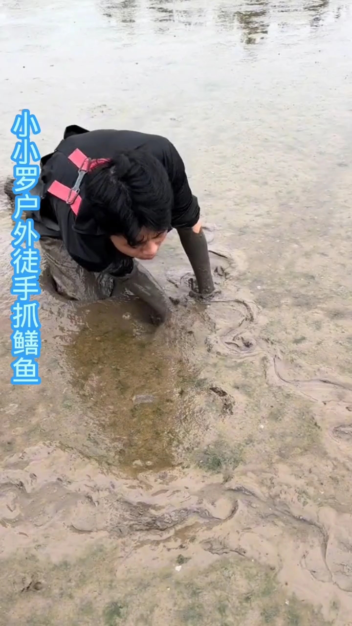 只要一个小时抓够20条鳝鱼,一分钱都不要? #三农 #农村