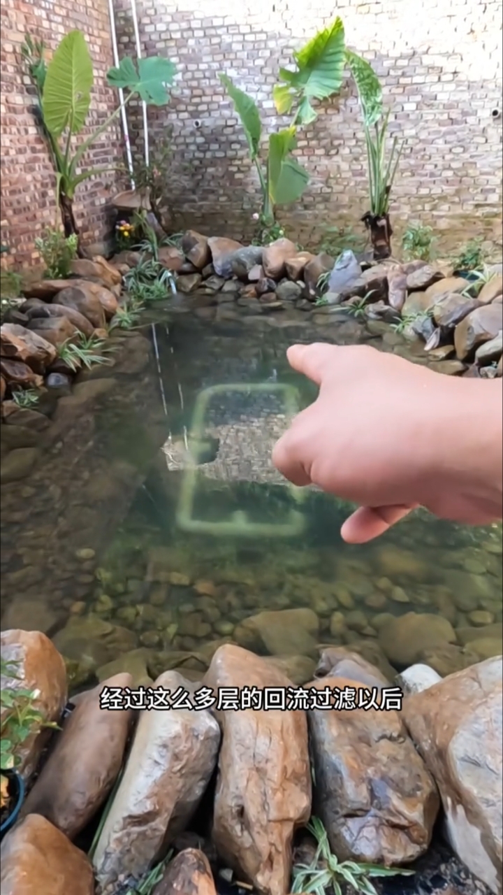 泉眼升级过滤系统,放养大鱼!#山泉水养鱼