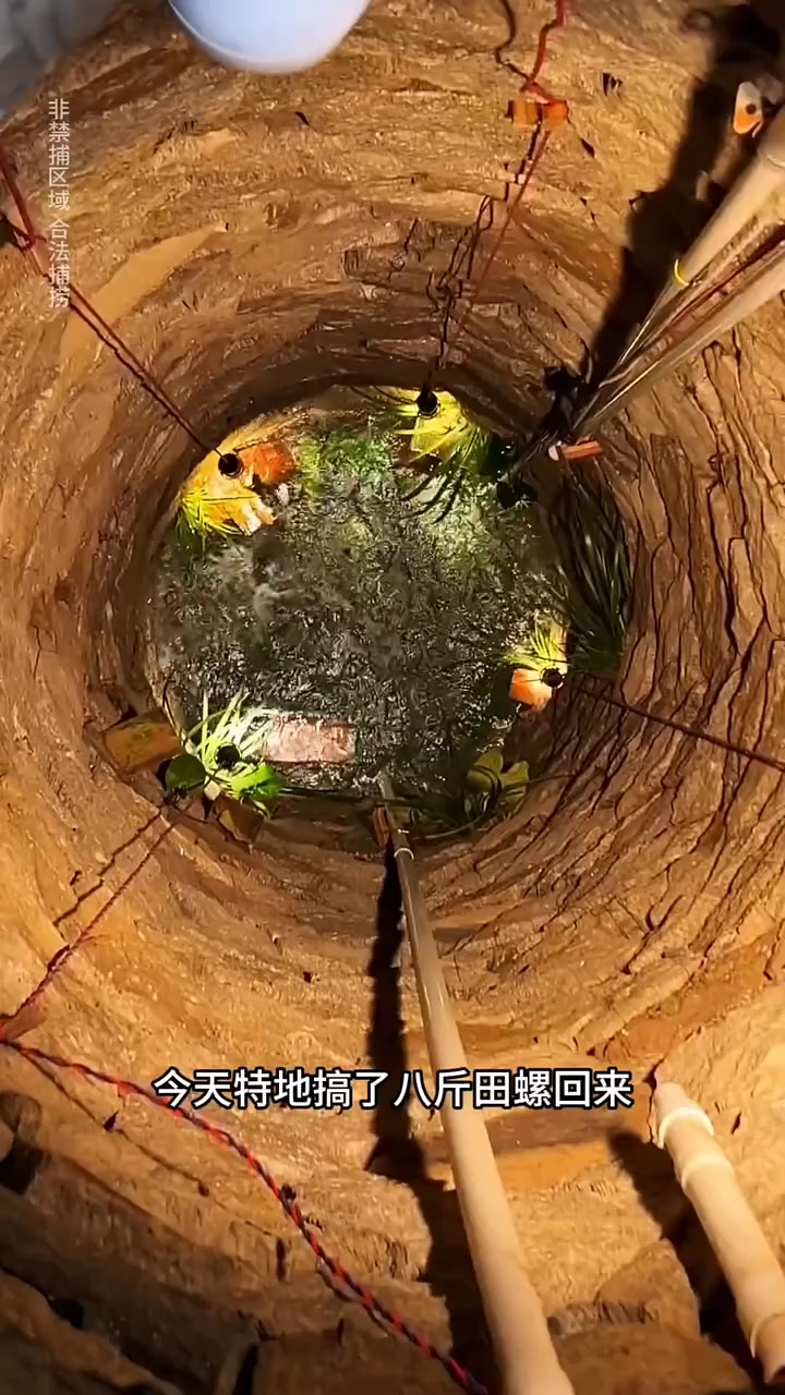 开车一百多公里搞了一条6斤多的白化鲶鱼回来，放井里也太漂亮了