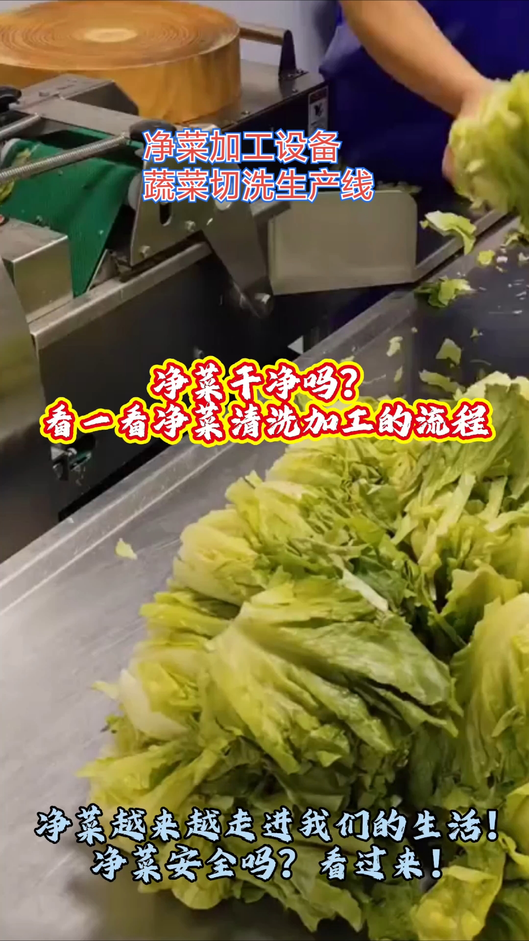 净菜加工设备,蔬菜切洗生产线,助力净菜加工,服务千家万户