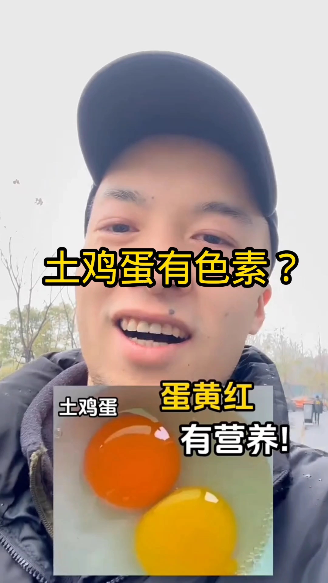 土鸡蛋饲料加色素?看飞哥的检测