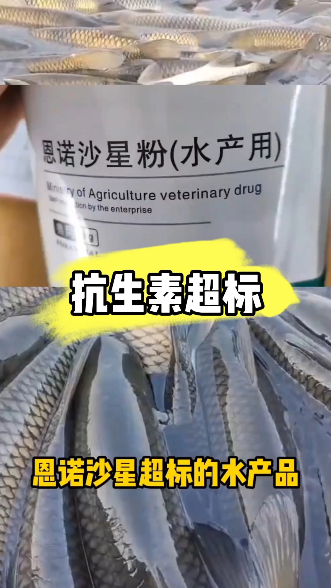 市场管理监督局检测一些水产品抗生素超标