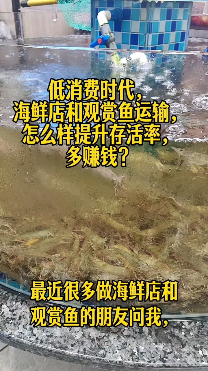 观赏鱼养殖、快递运输,海鲜活鱼活虾暂养运输,怎么减少损耗?
