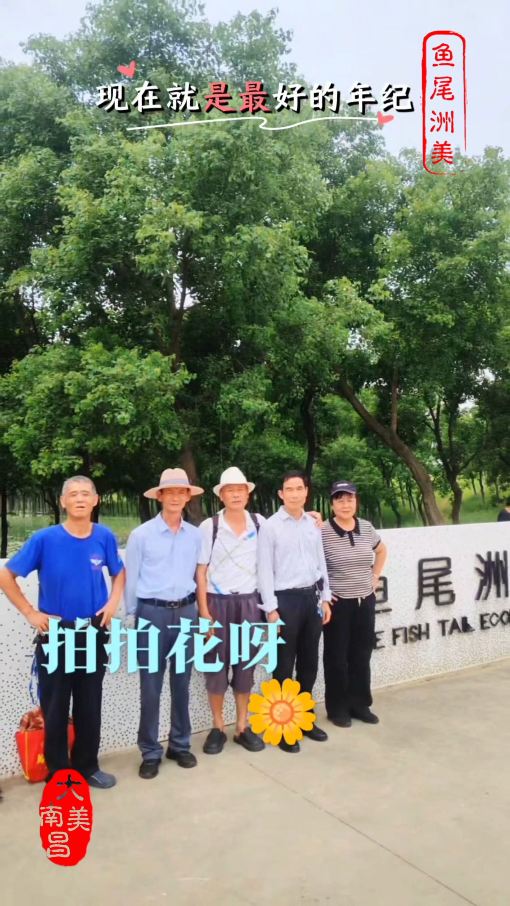 南昌鱼尾洲湿地公园#夏日绿意满满##公园拍照打卡# #新大陆计划#