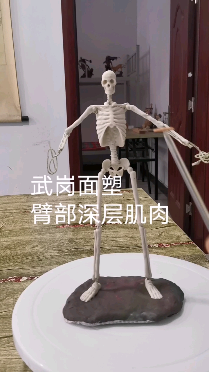 面塑解剖学 胳膊上的肌肉