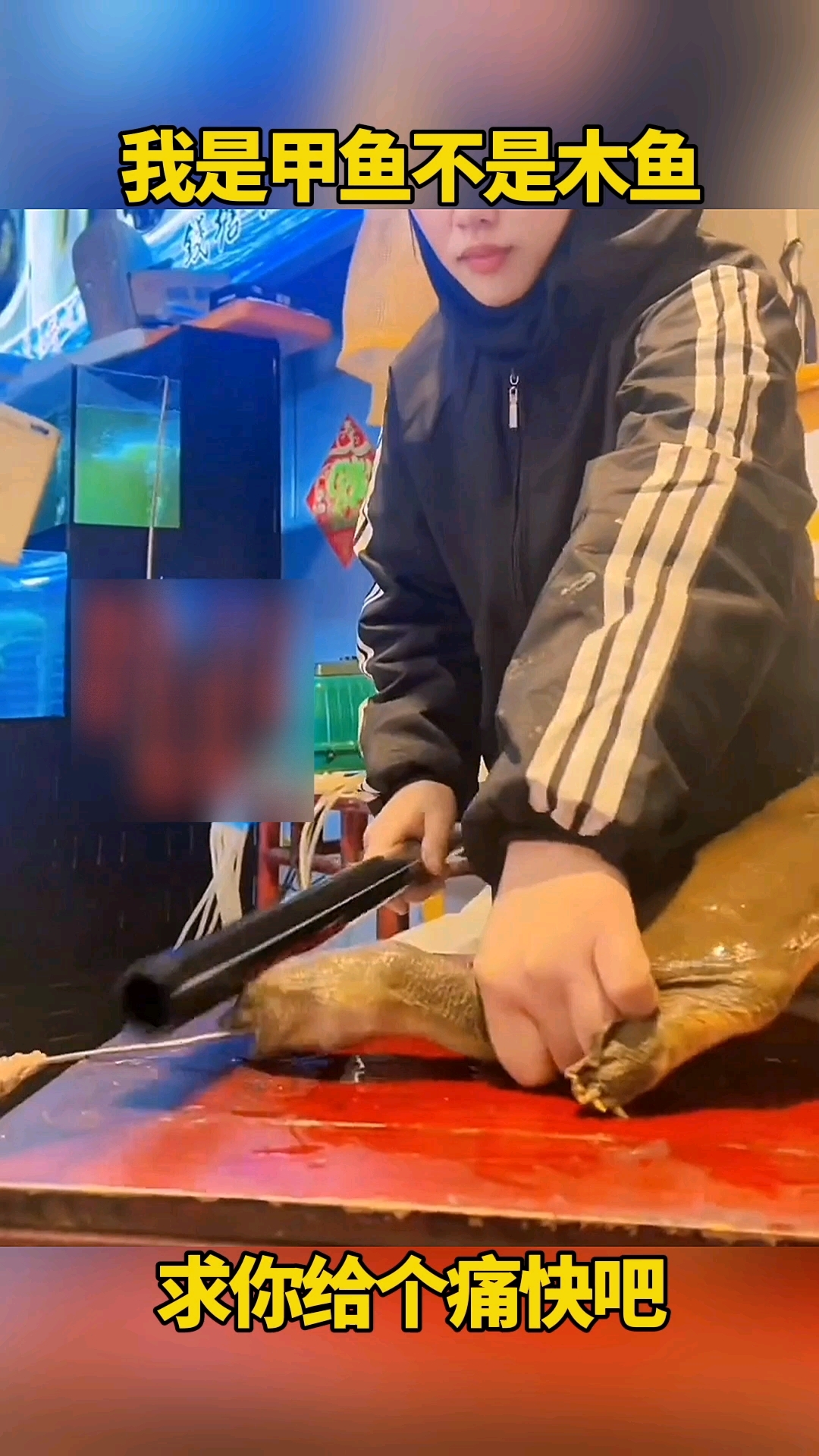 我是甲鱼不是木鱼,求你给个痛快吧!