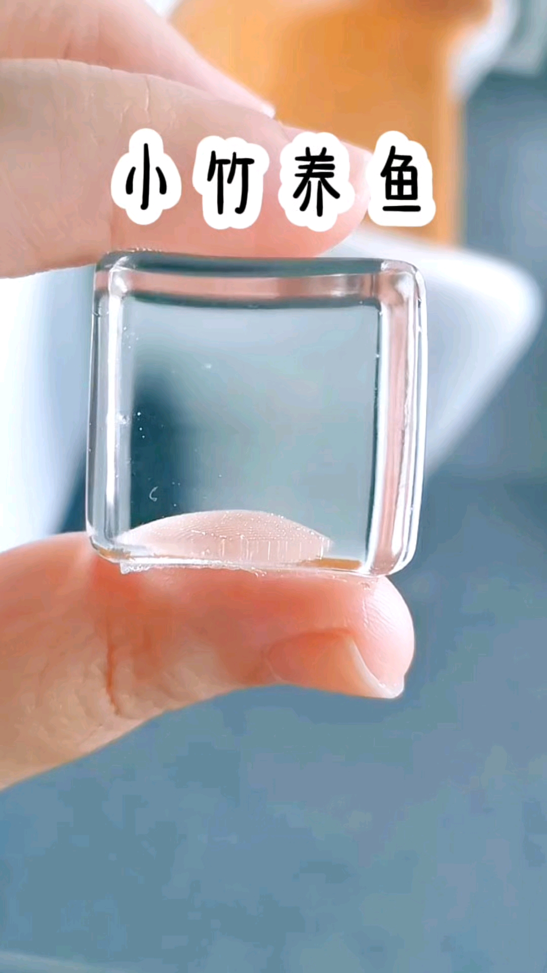 书茗《小竹养鱼》