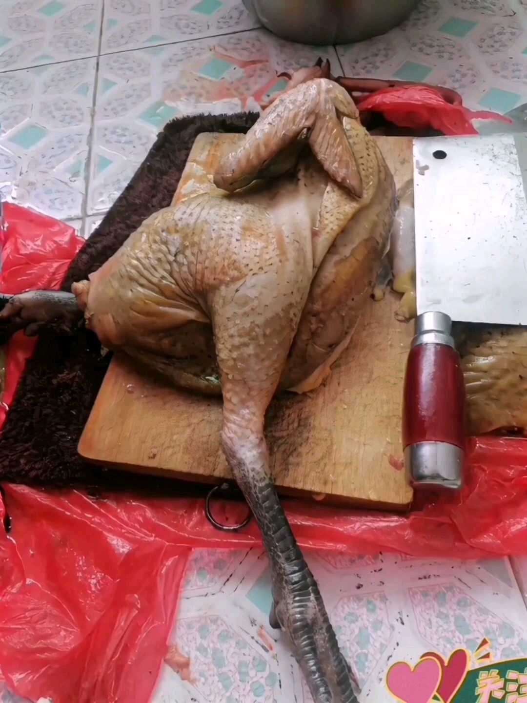 太魔性了!公鸡秒变美女跳舞!见过吗?