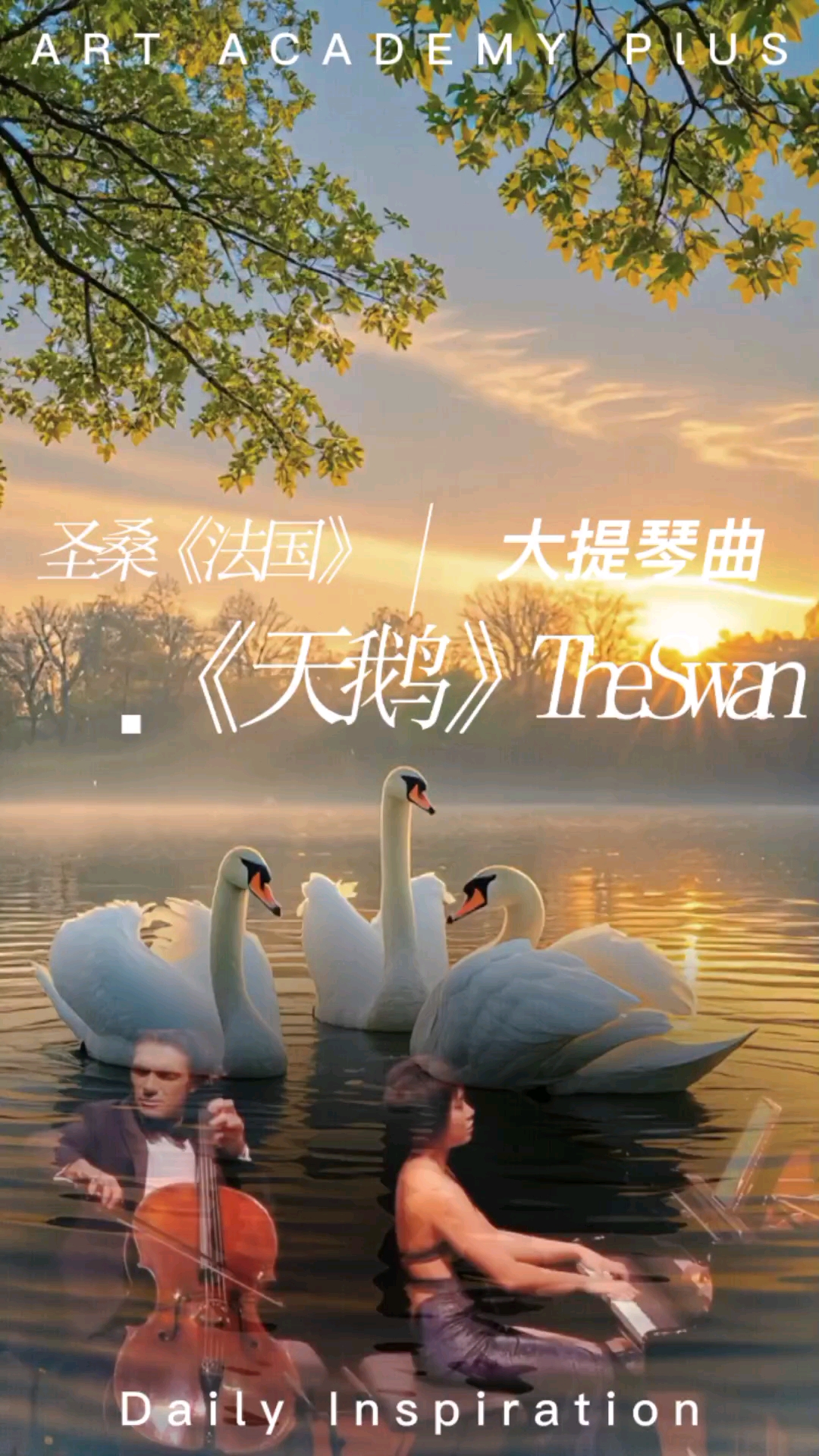 音画欣赏法国作曲家米切尔圣桑的大提琴曲《天鹅》旋律唯美浪漫