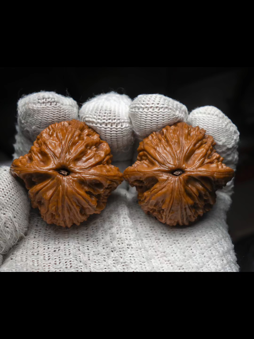 双十一,纯野生鸭蛋虎头宠宠宠,纯野生哦!