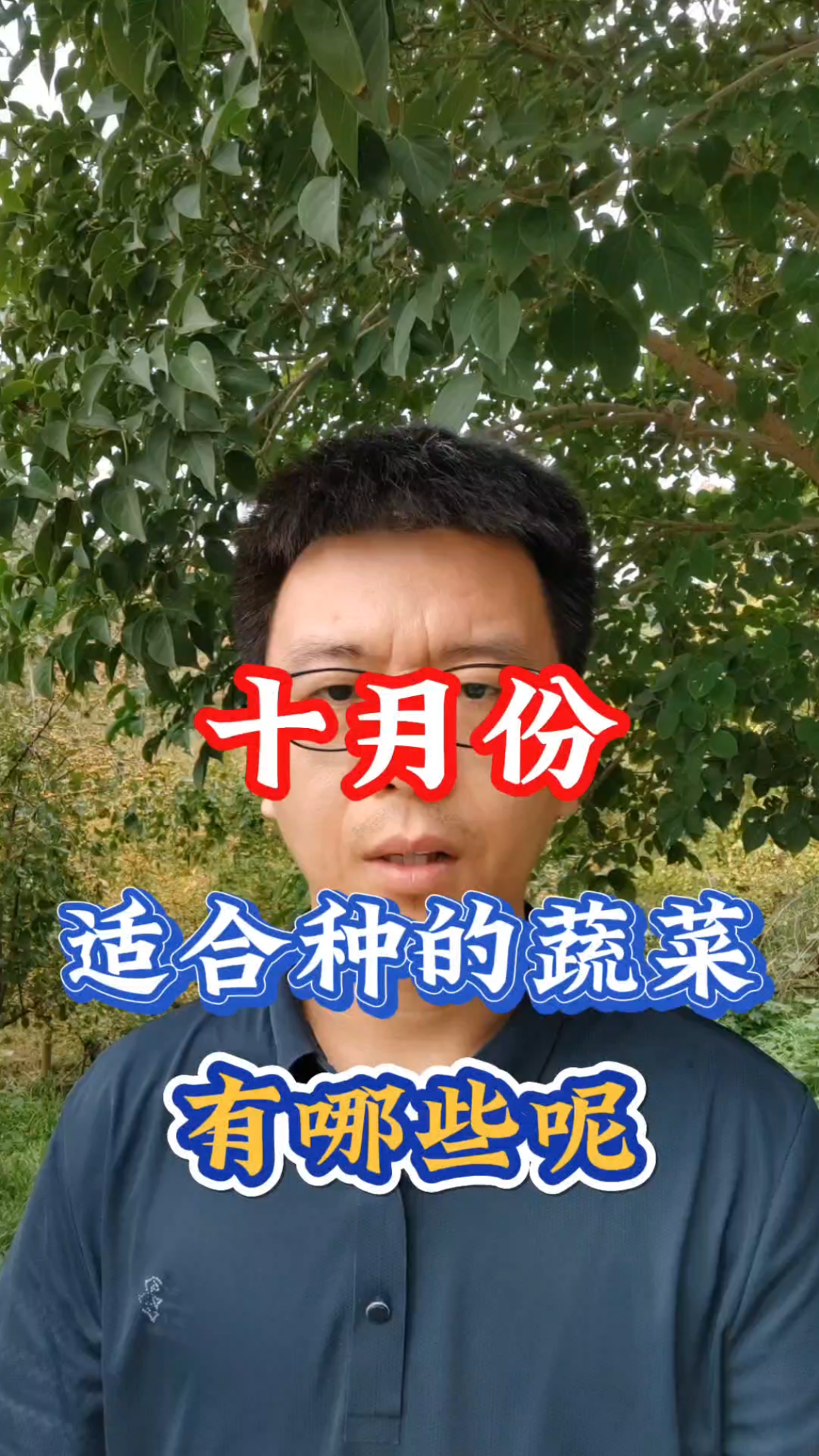 十月份适合种的蔬菜有哪些
