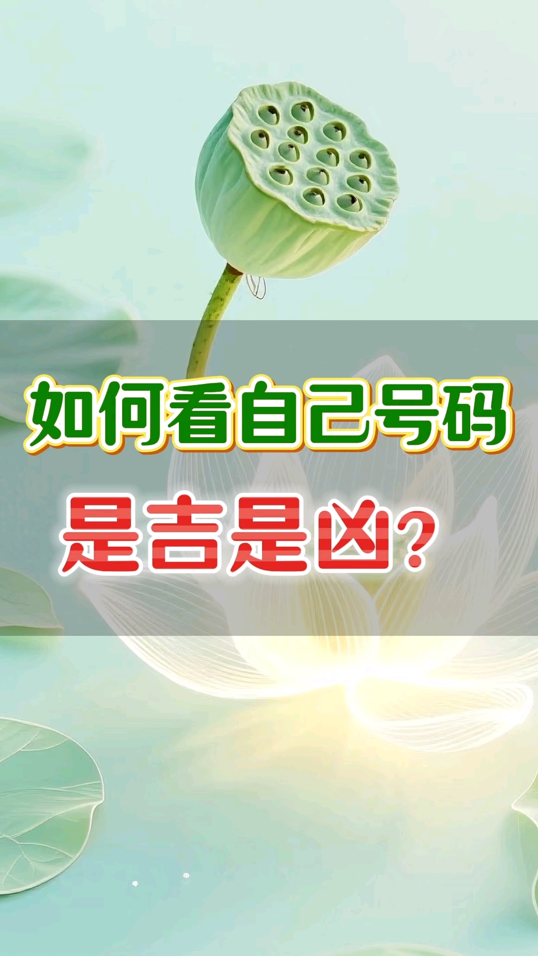 如何看自己号码是吉是凶
