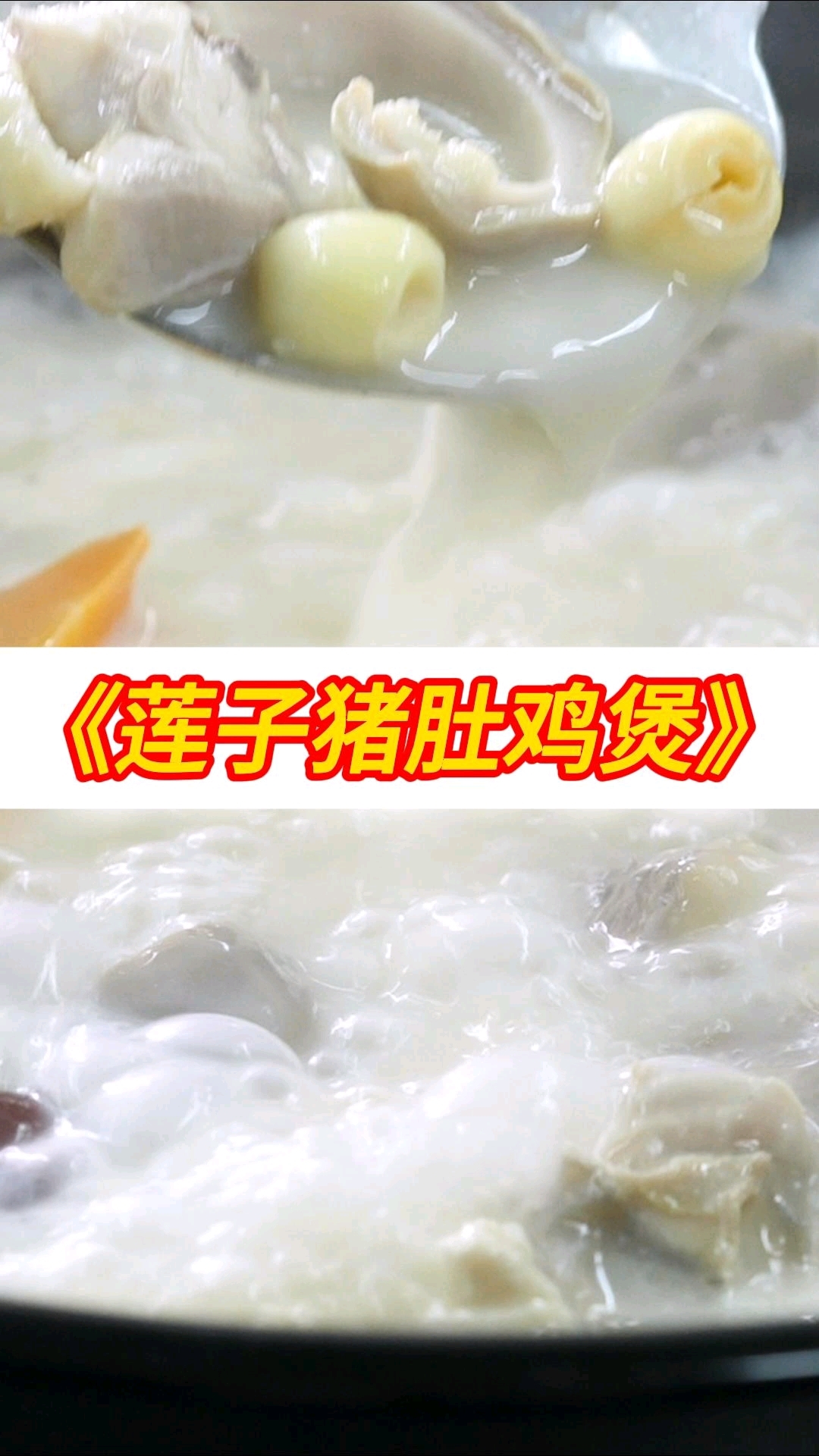 莲子猪肚鸡煲|粤菜美食