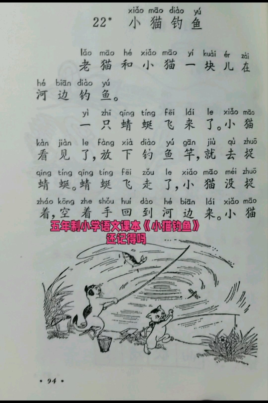 五年制小学语文课本《小猫钓鱼》还记得吗