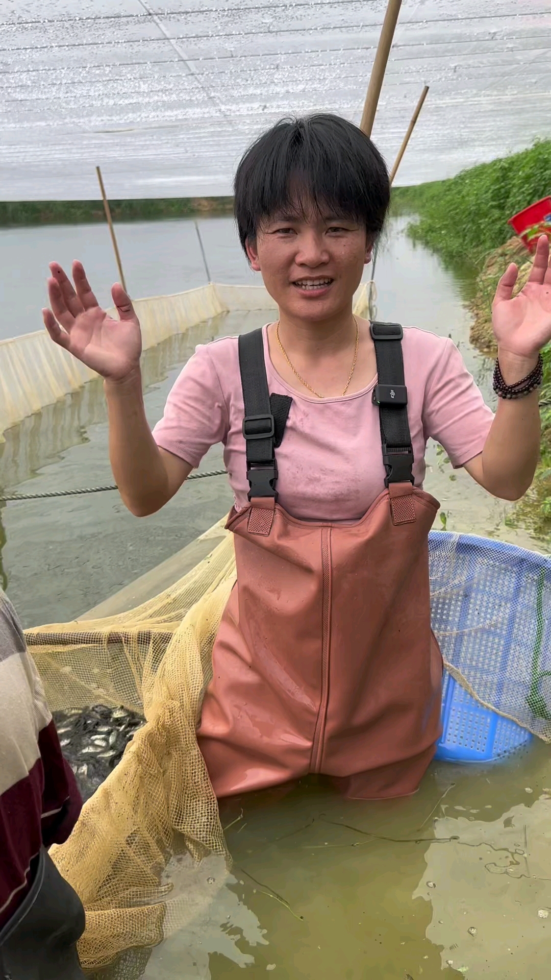罗非鱼苗4-5公分长
