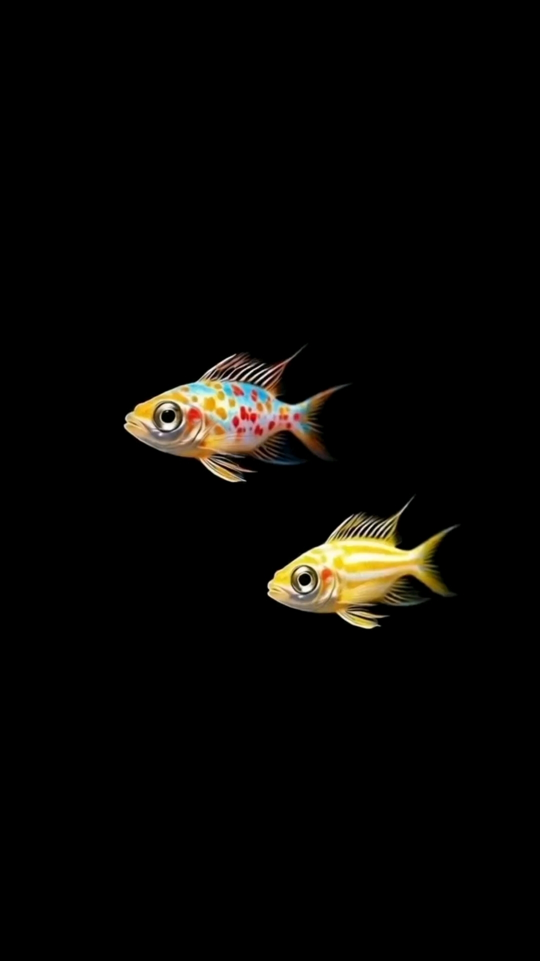 鱼儿水中游！#新大陆计划#  #手机壁纸# #壁纸# #高清壁纸# #动态壁纸#