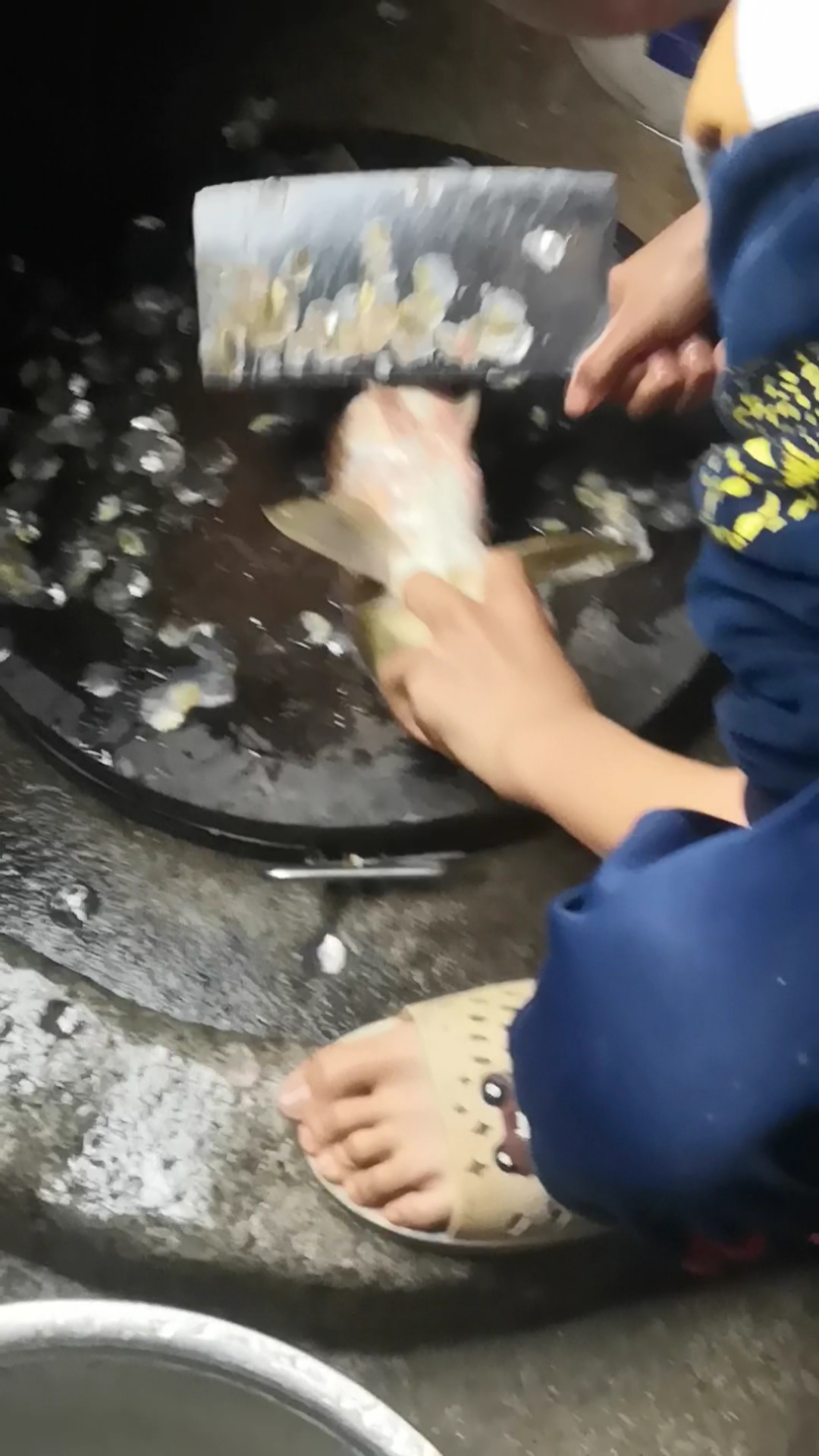 杀鱼视频,希望你们喜欢