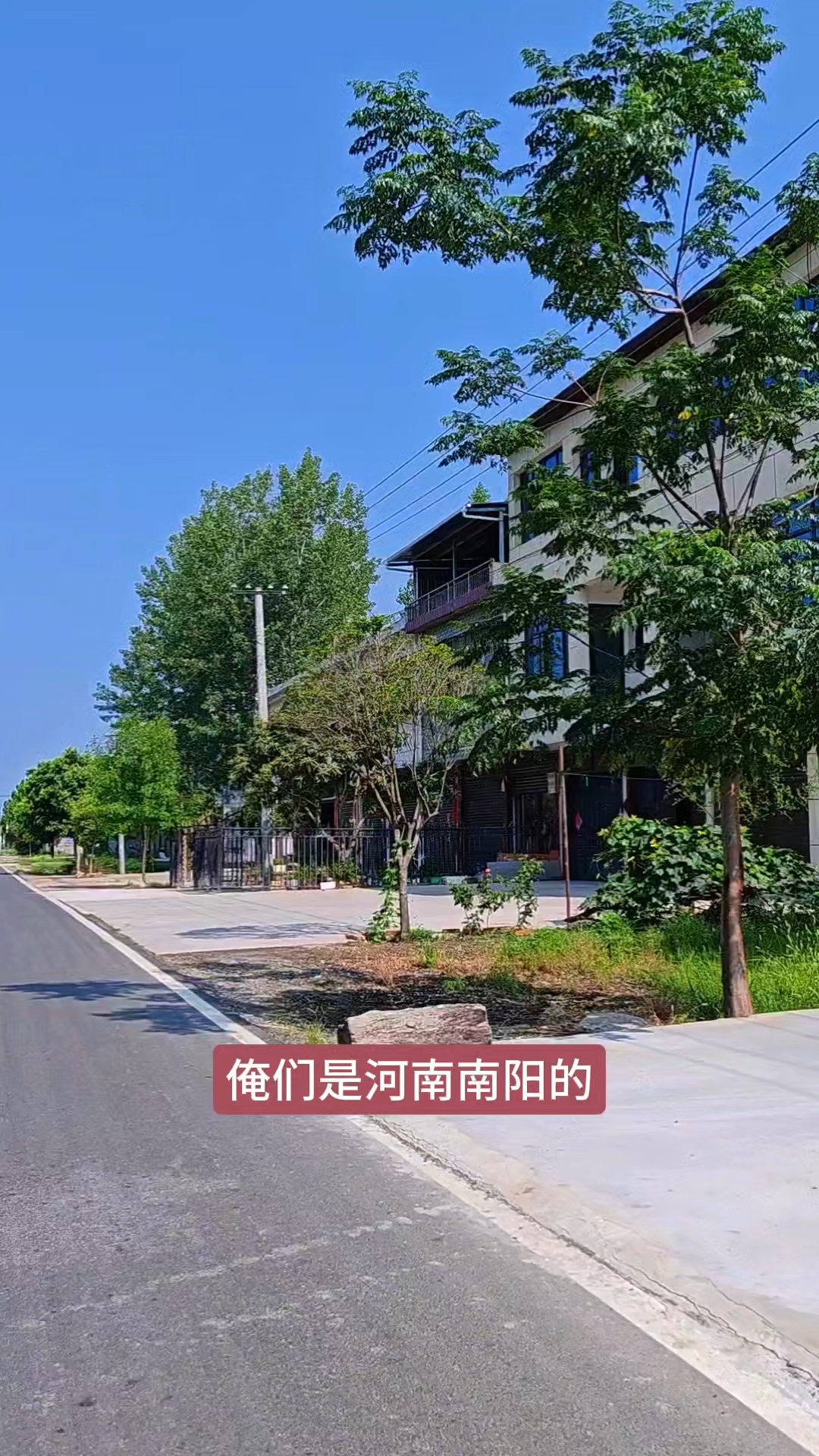 我们是河南南阳的,会搅包谷糁,会溜馍,下面条不坨,老乡们咋样