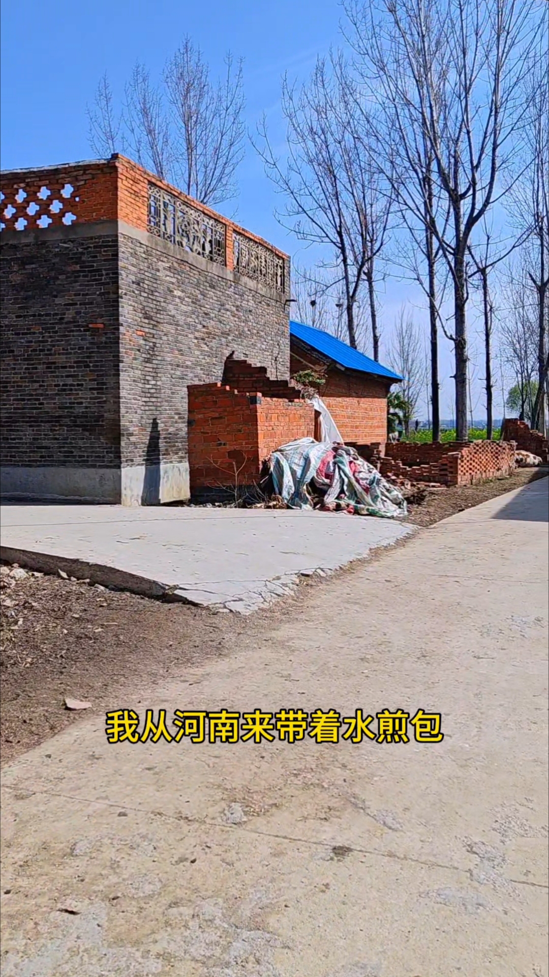 我从河南来,带着水煎包,早上胡辣汤中午捞面条,晚上溜仨馍