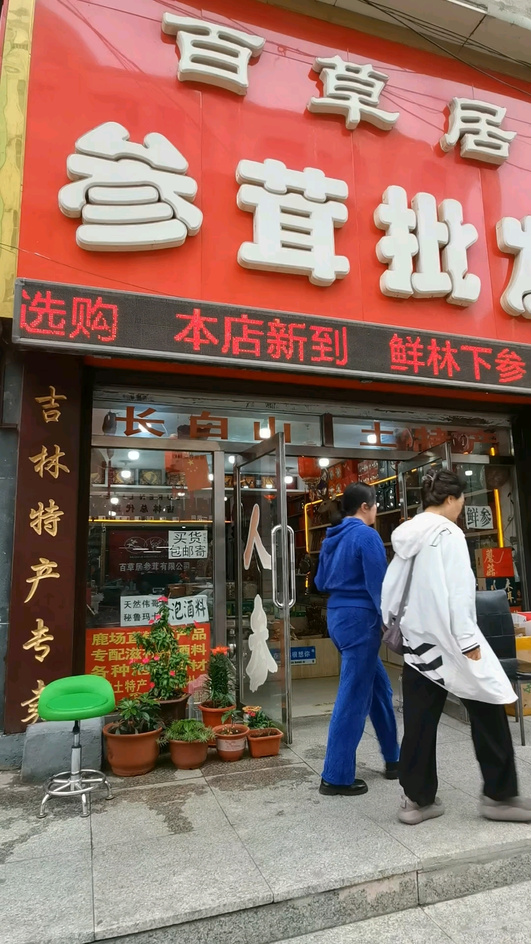 大东北有好多的宝贝 长白山的人参 还有梅花鹿 鹿身上都是药材
