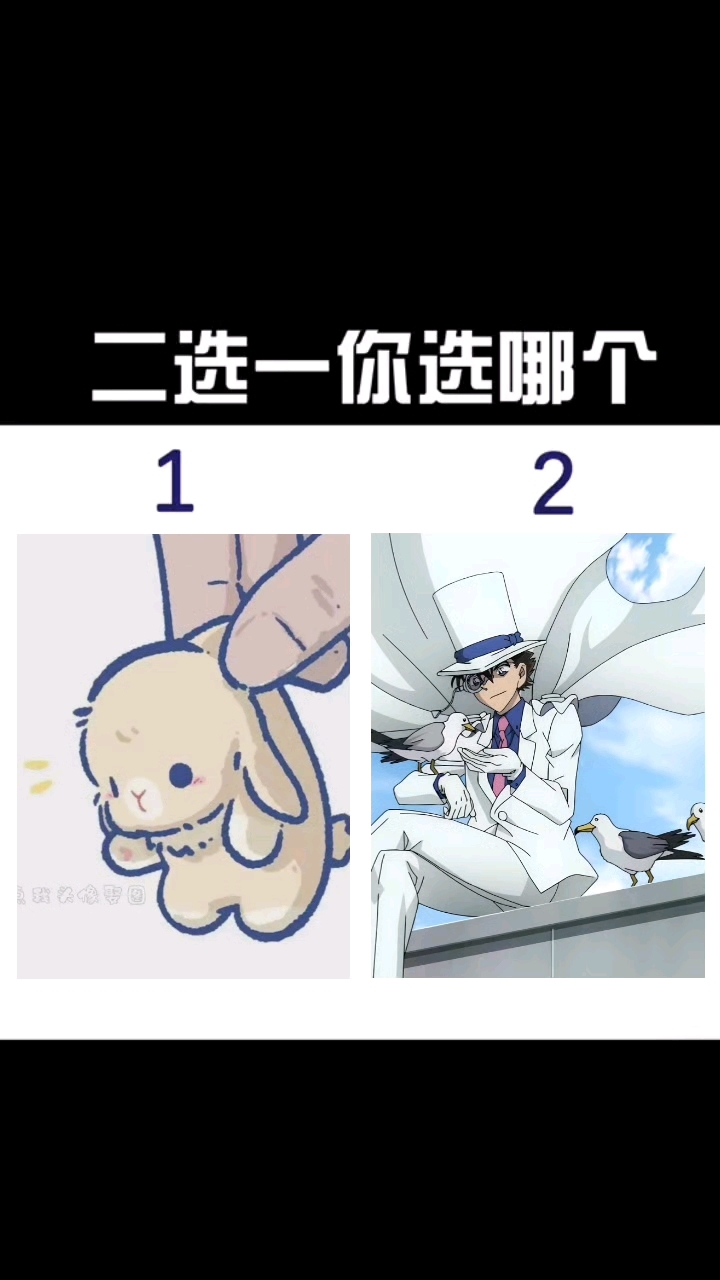 好看的怪盗基德