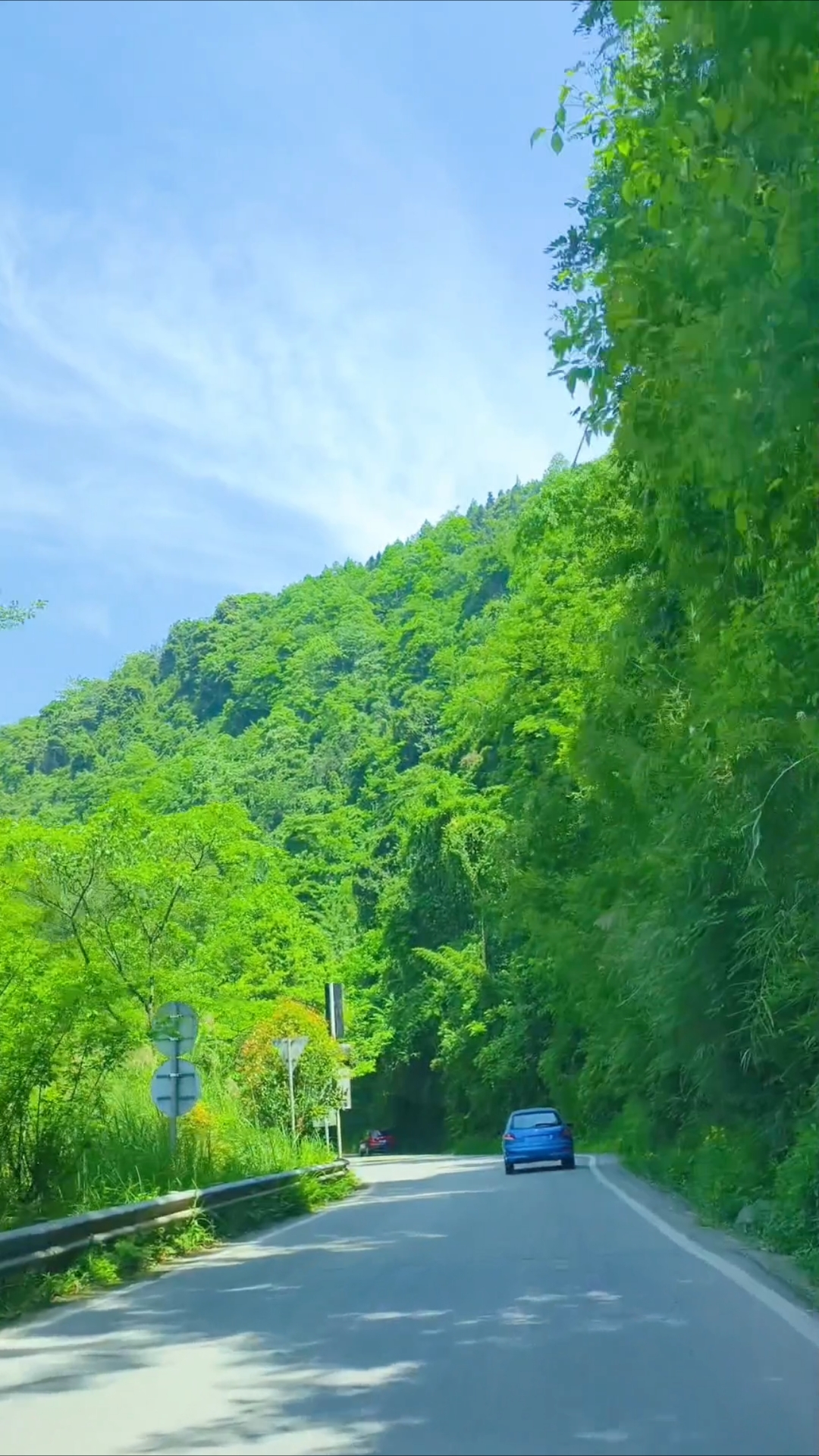 崇州市鸡冠山路,绿意盎然,阳光洒满的美好时光。