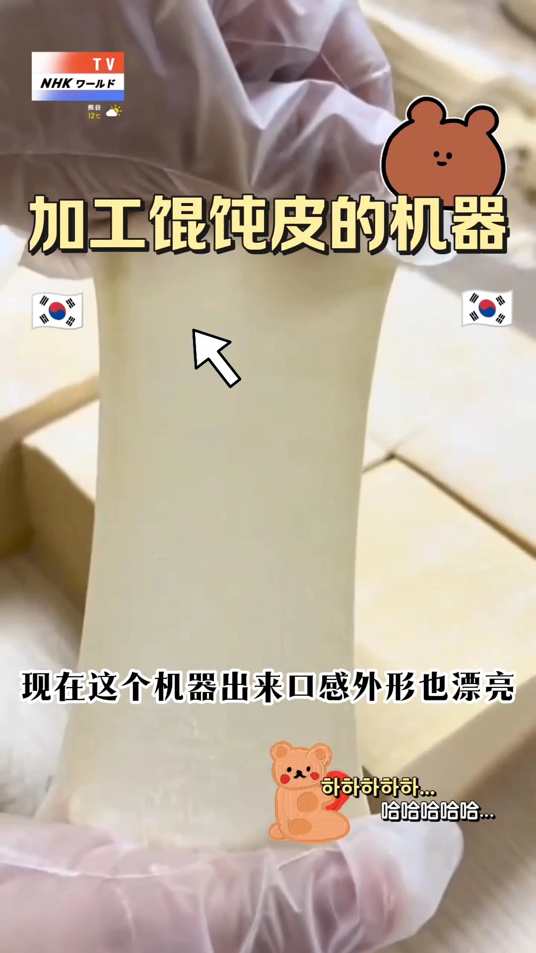 加工馄饨皮的机器 做多种面食轻松搞定 