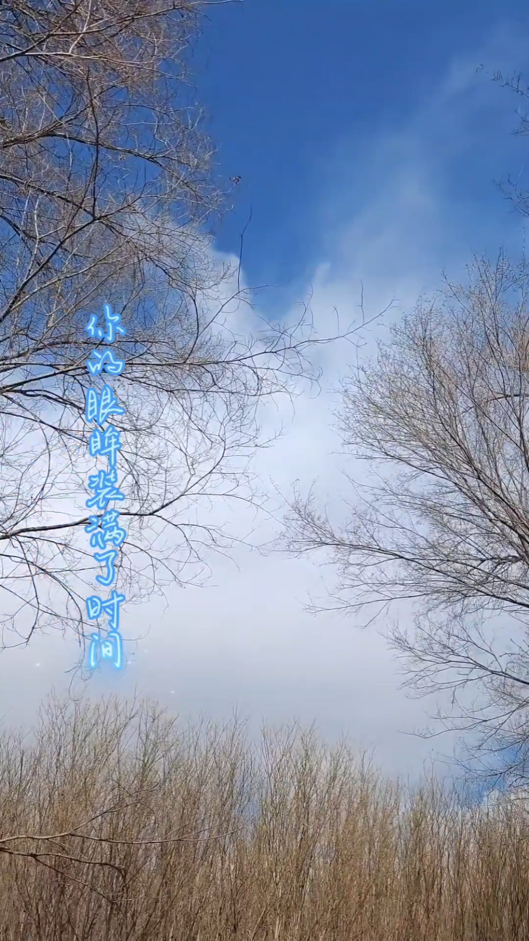 周深《浮光》-剪辑:一只鲸@周深