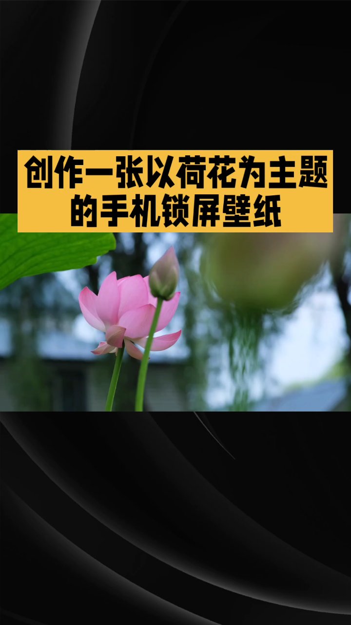 禅意荷花壁纸,静享手机时光