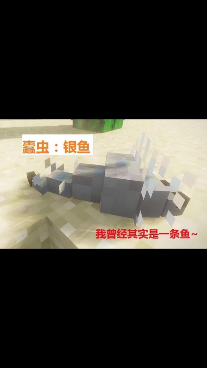 我的世界:蠹虫竟然还要红色蠹虫!