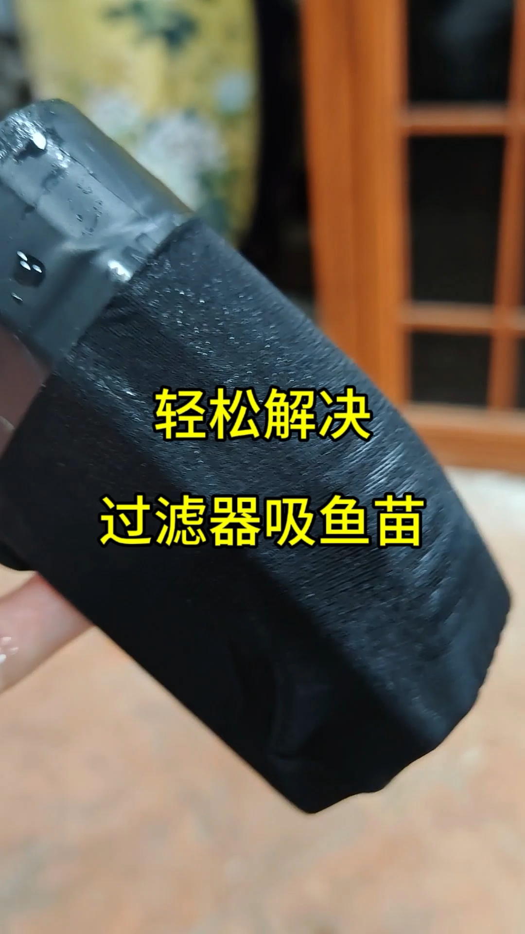 一袜轻松解决过滤器吸鱼苗的问题!#过滤器吸鱼 #观赏鱼繁殖 