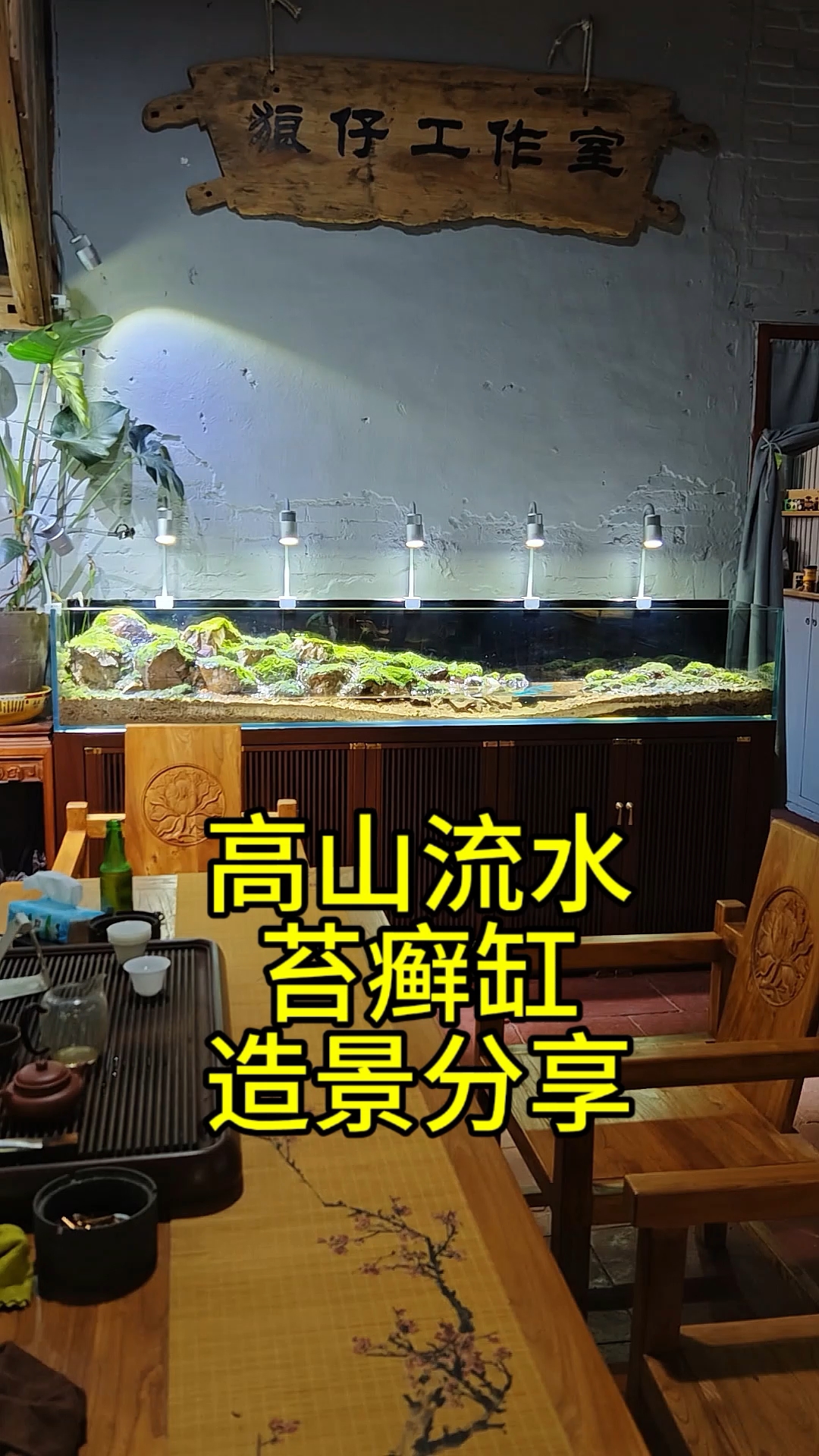 零成本高山流水苔癣缸造景分享！#自然溪流景观 #水陆缸造景