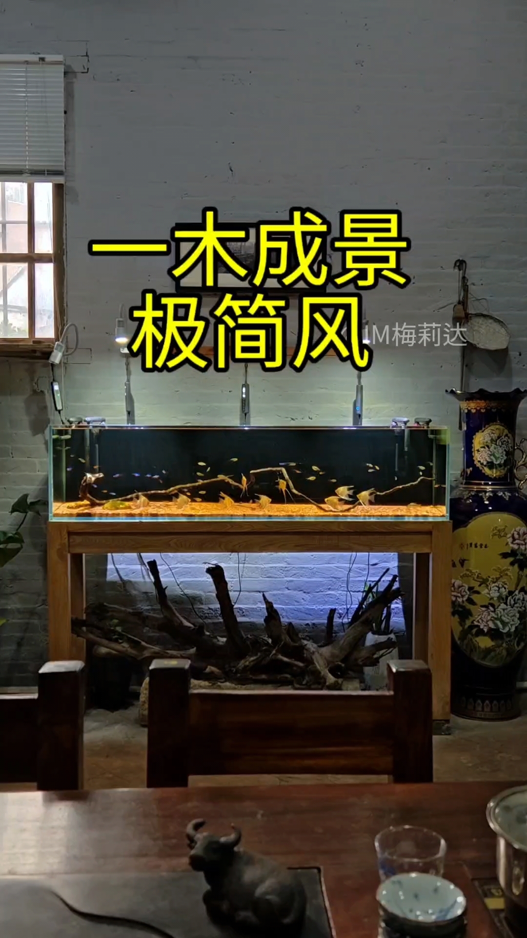 一棍成景,极简风鱼缸造景!#养鱼人 #鱼缸里的大自然 #南美