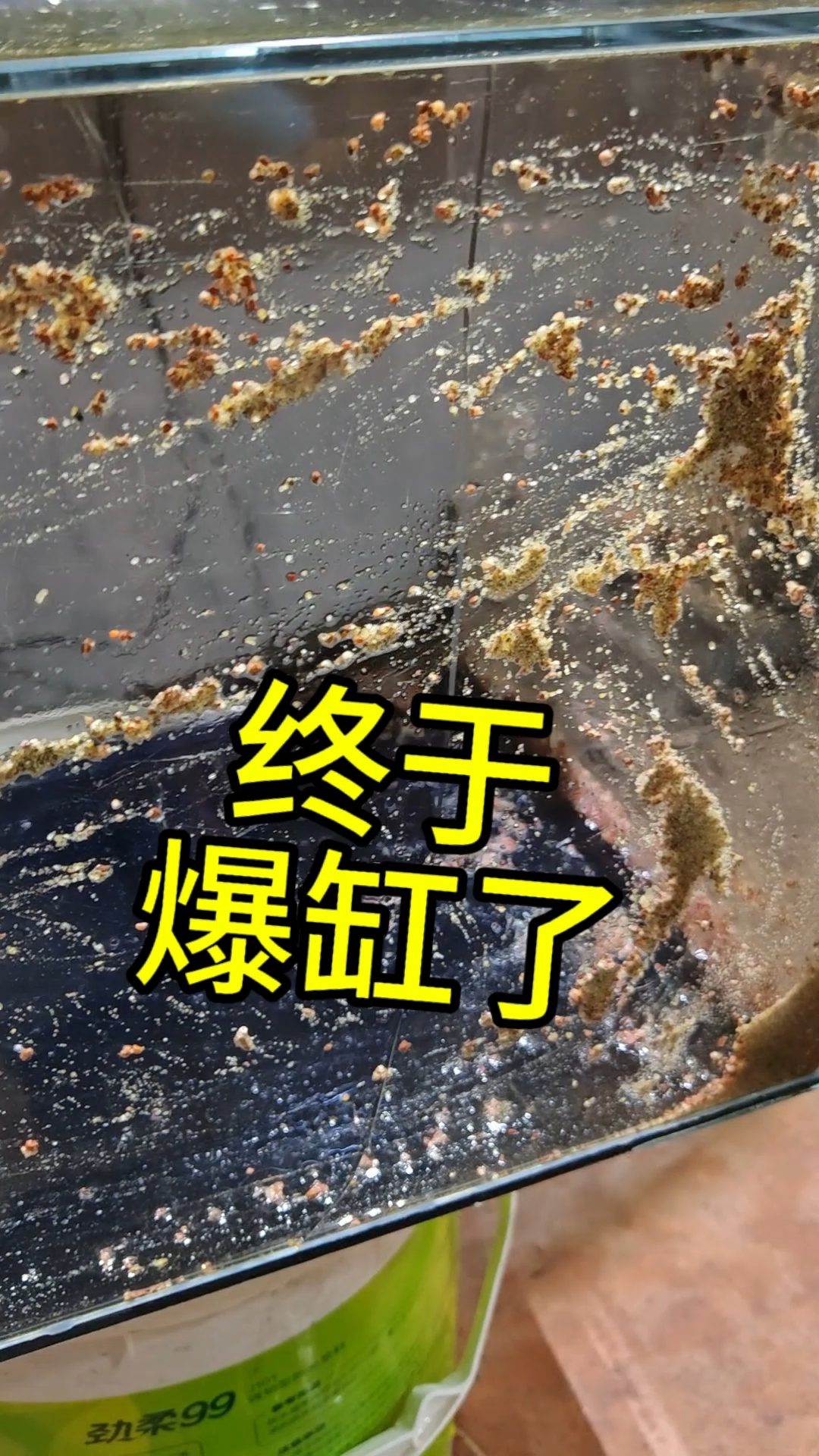 用了两年多原木板底柜终于让鱼缸又爆缸了！#鱼缸爆缸 #养鱼