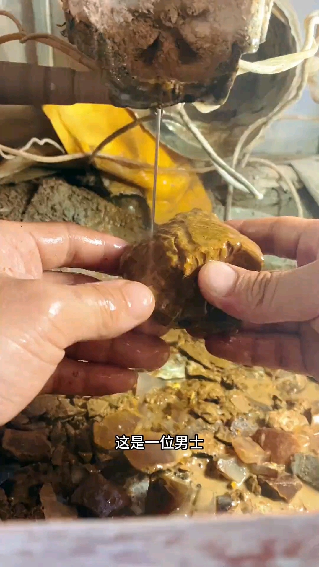 一块起眼石头,生出来一个大吉大利,大公鸡我说了你也不信