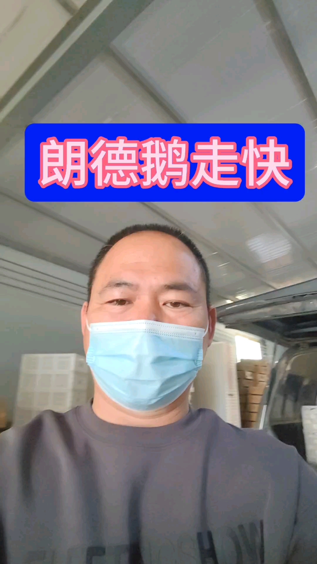 朗德鹅苗开始走快