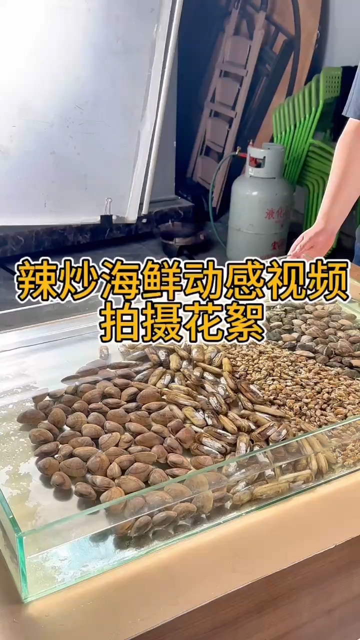 辣炒小海鲜动感视频录制花絮