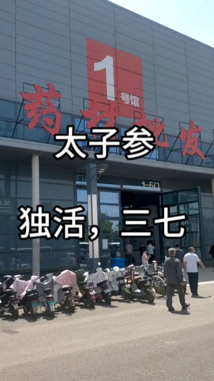 中药材,太子参,独活,三七