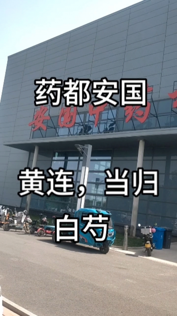 中药材,中草药,当归,黄连,白芍