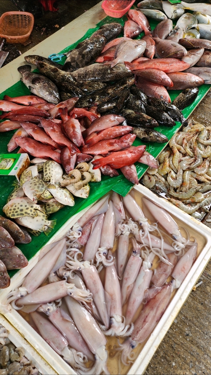 实拍广东阳江海陵岛白蒲市场物价,旅居候鸟采购海鲜的地方