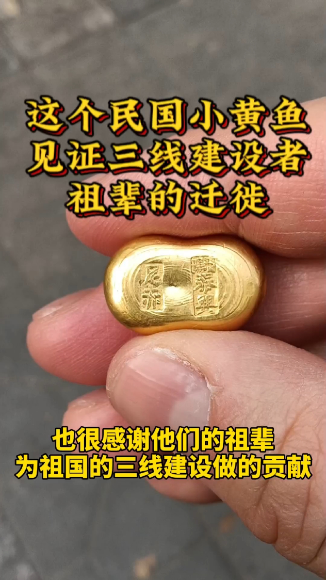 这枚民国小黄鱼见证祖辈迁徙