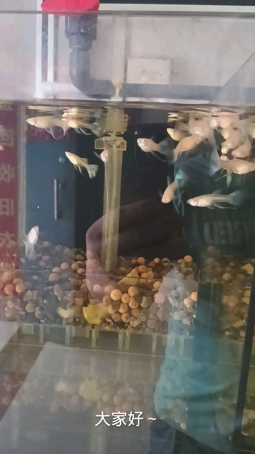 初次剪辑视频,请多多包涵!