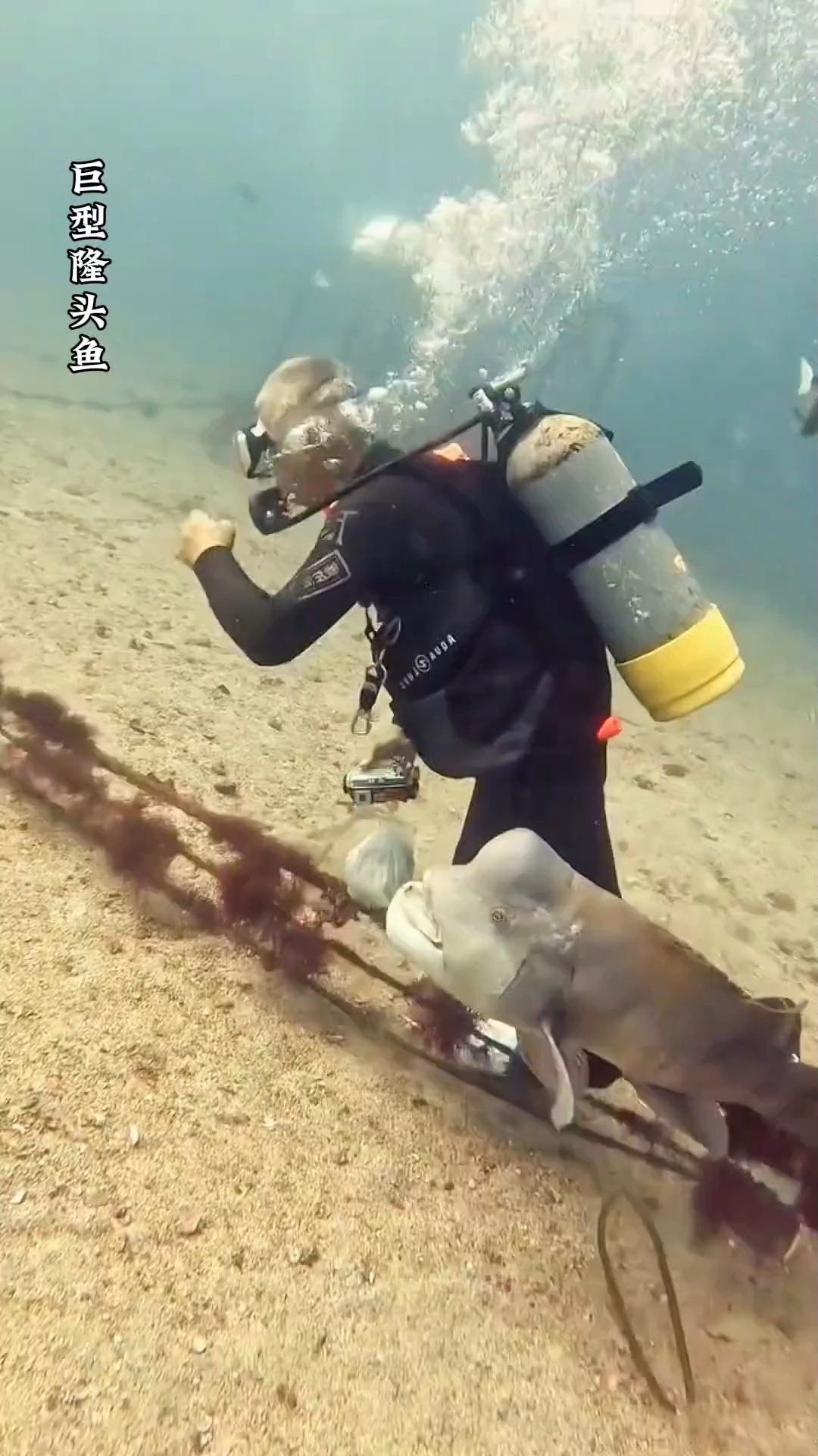 带你第一视角探索海底世界#沉浸式赶海#海底世界#潜水#内容启