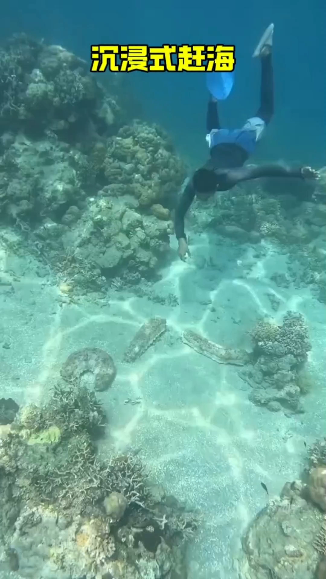 第沉浸式体验赶海,这样的工作有人不羡慕吗#潜水 #赶海 #海