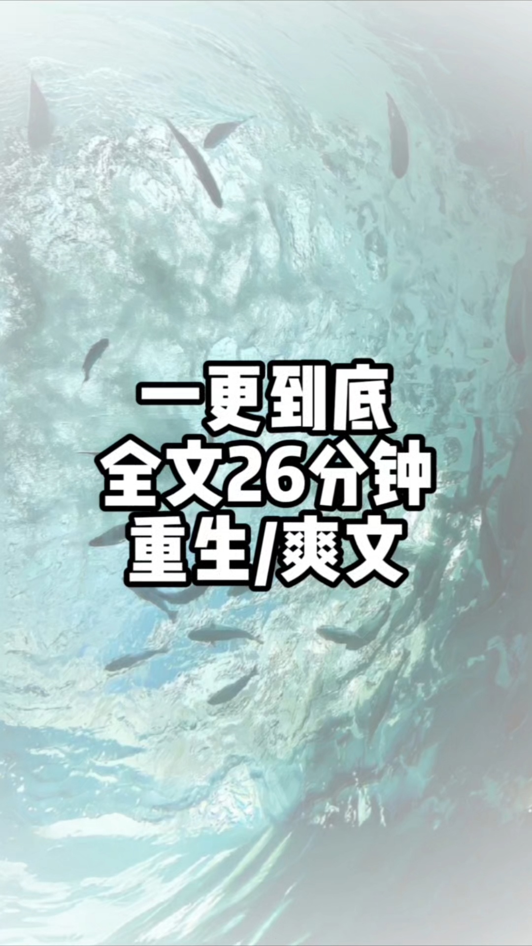 全文已完结